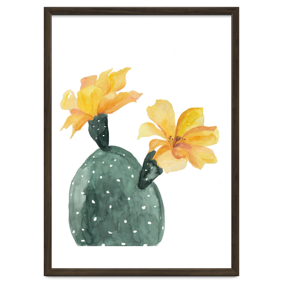 Botanical Illustration Yellow Cactus Flowers