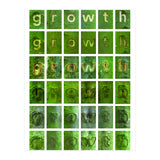 growth (Print Only) thumbnail