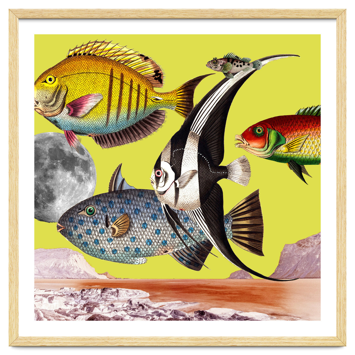 Plenty Of Fish In The Sea Yellow