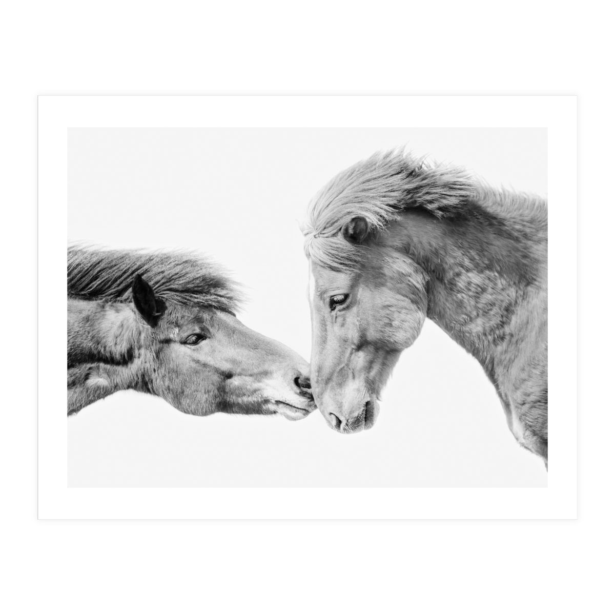 Horse Love in Iceland (Print Only)