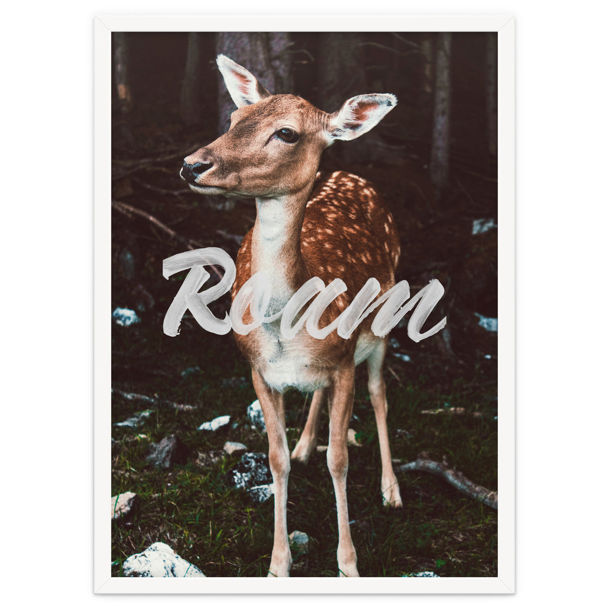 Roam