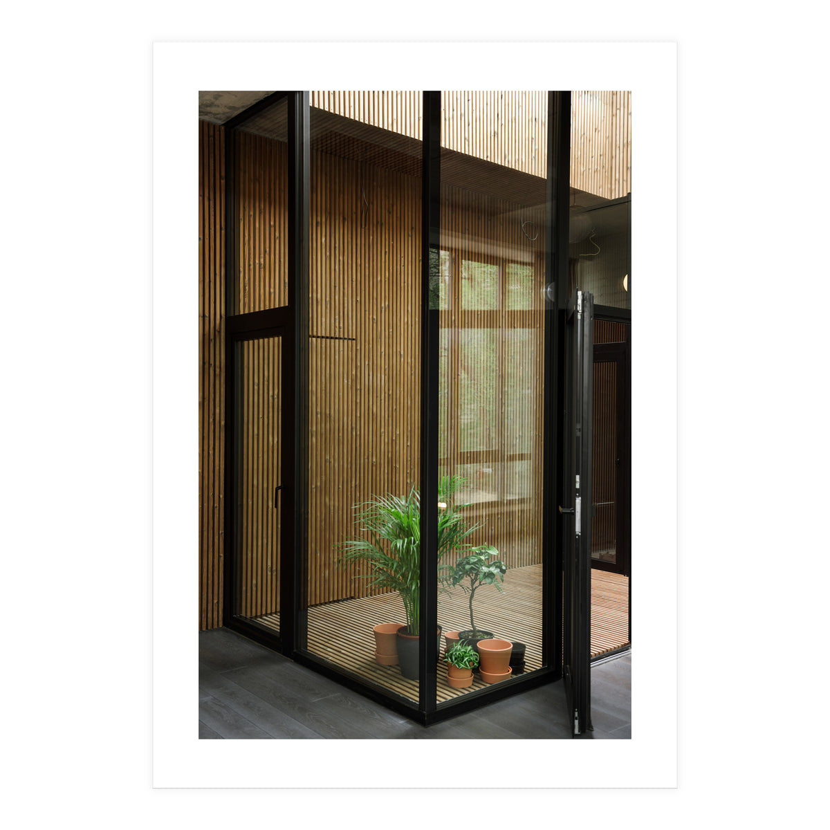 Public Place at my House (Print Only)