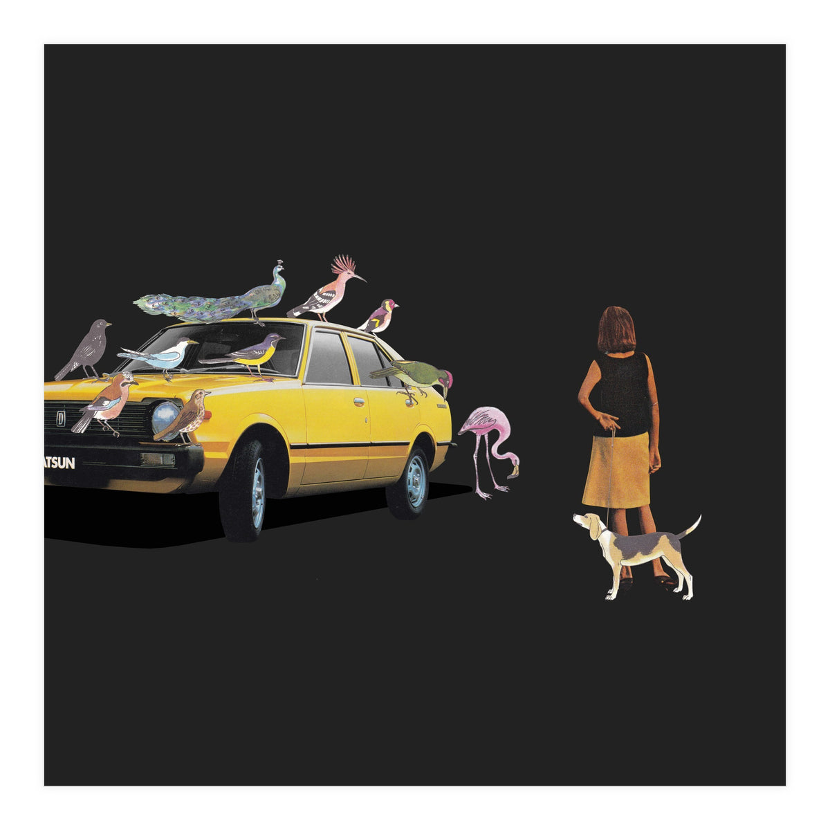 Bird Gang (Print Only)