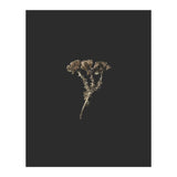 Gold Burst Botanicals (Print Only) thumbnail