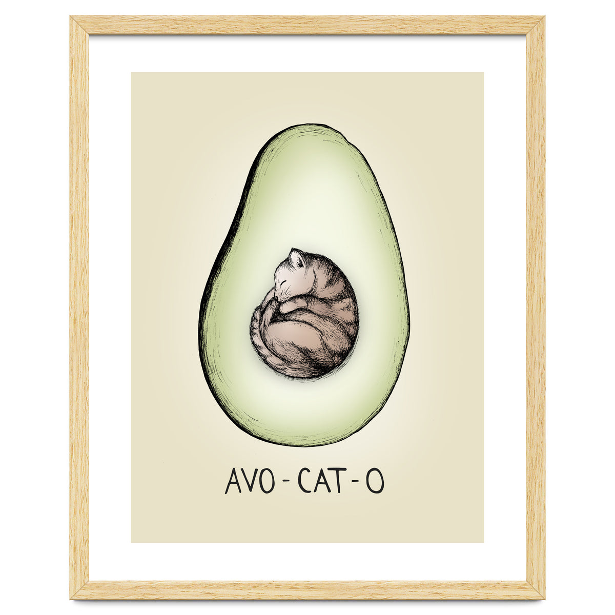 Avo-cat-o