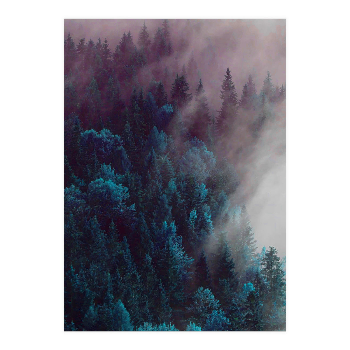 Anywhere You Go (Print Only)