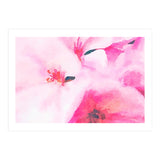 Kairos (Print Only) thumbnail