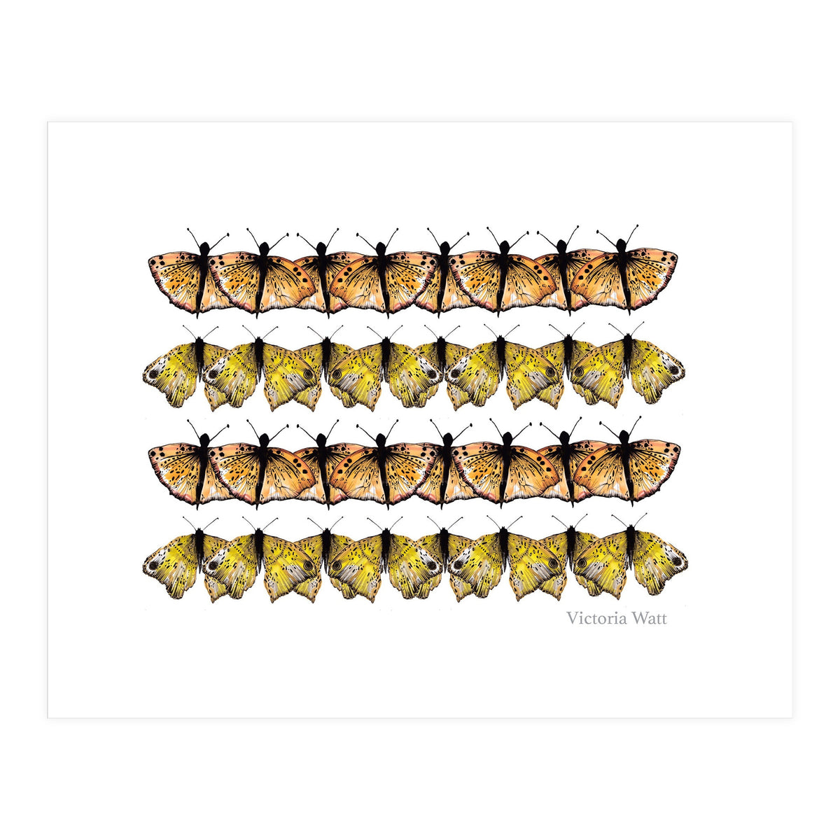 Butterfly Dance (Print Only)