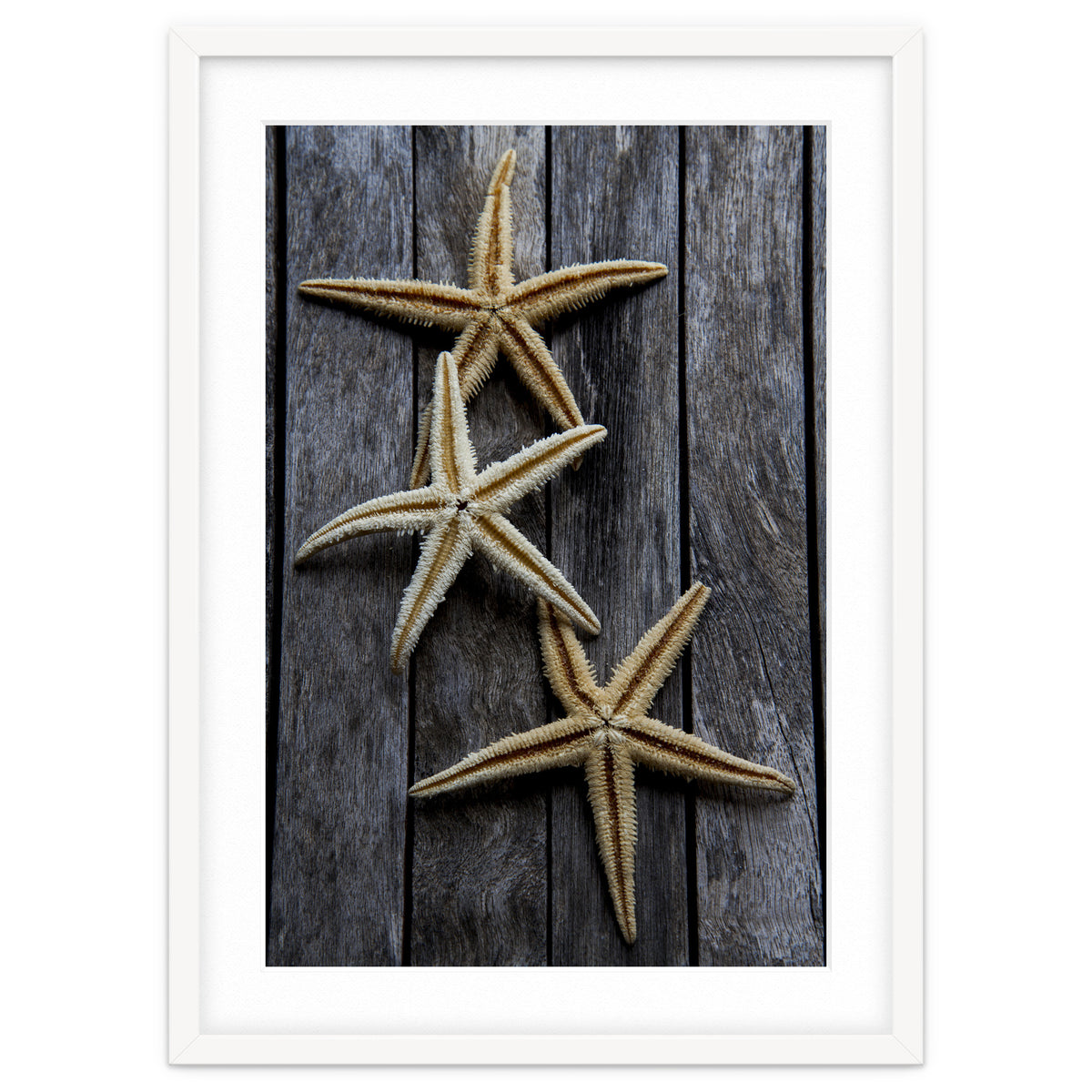 Starfishes in wooden