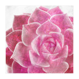 Rough Beauty 4 (Print Only) thumbnail