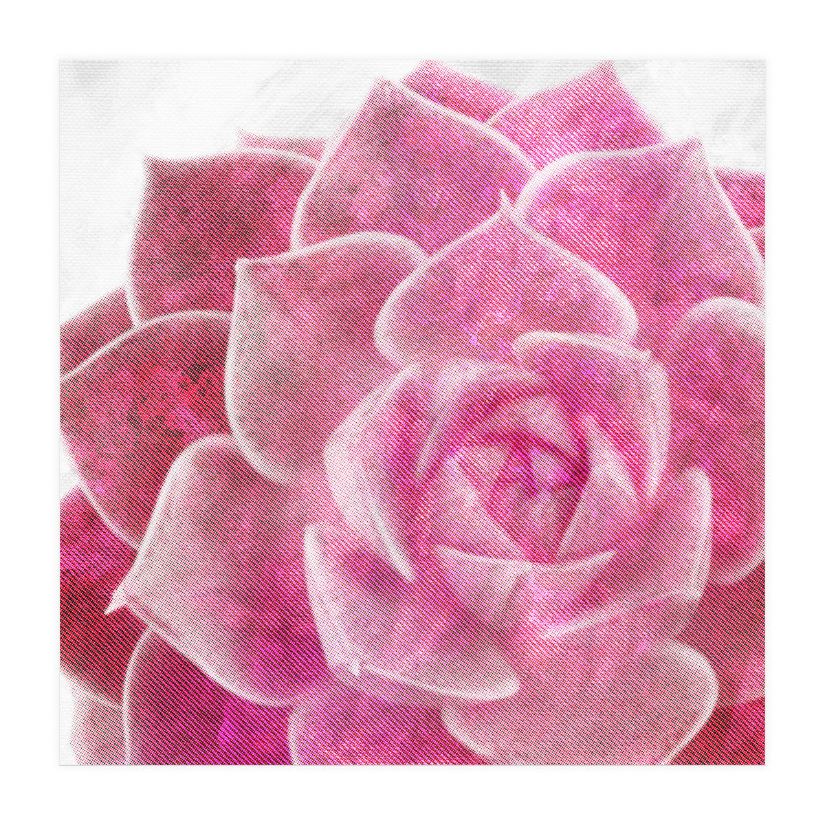 Rough Beauty 4 (Print Only)