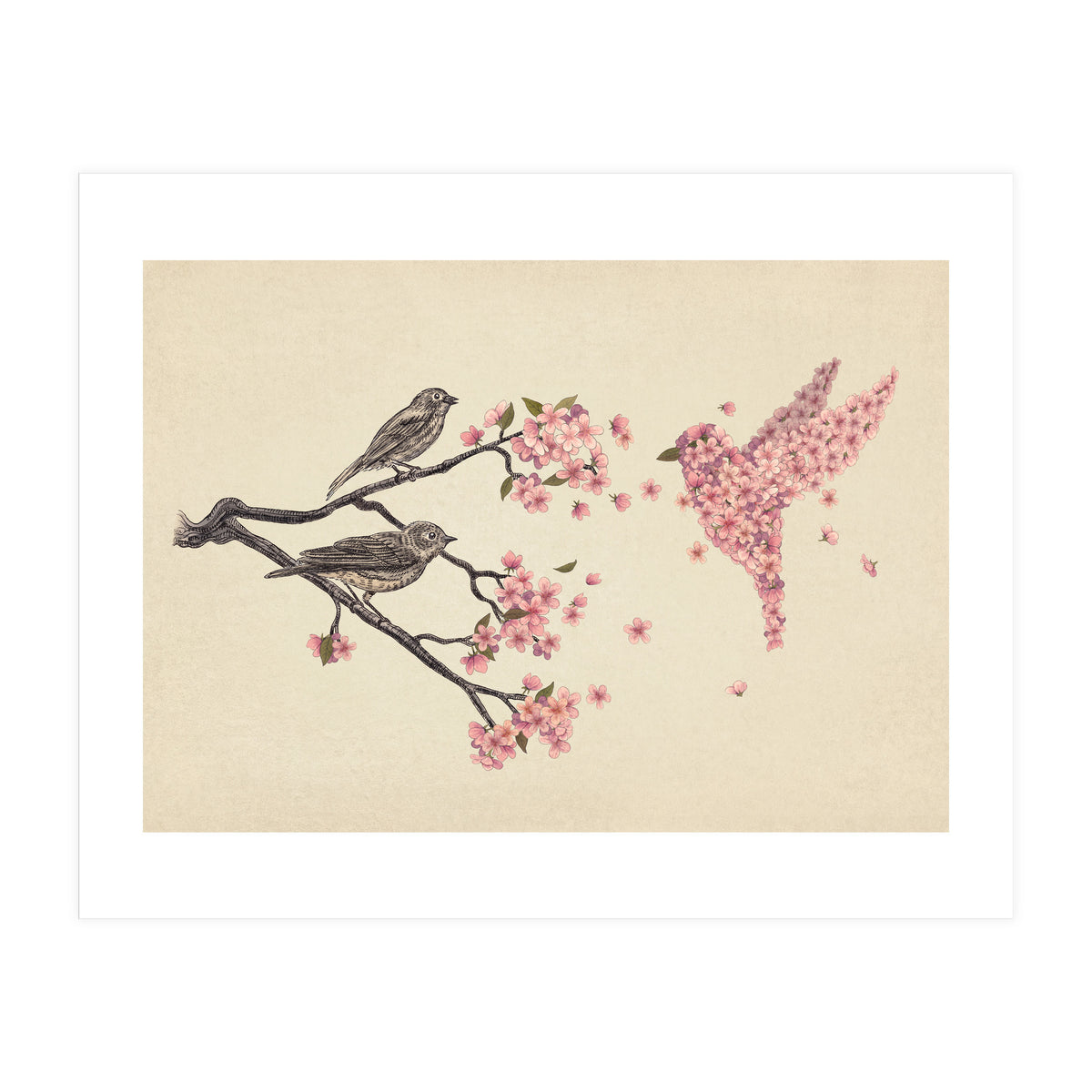 Blossom Bird (Print Only)