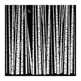See the Forest... (Print Only) thumbnail