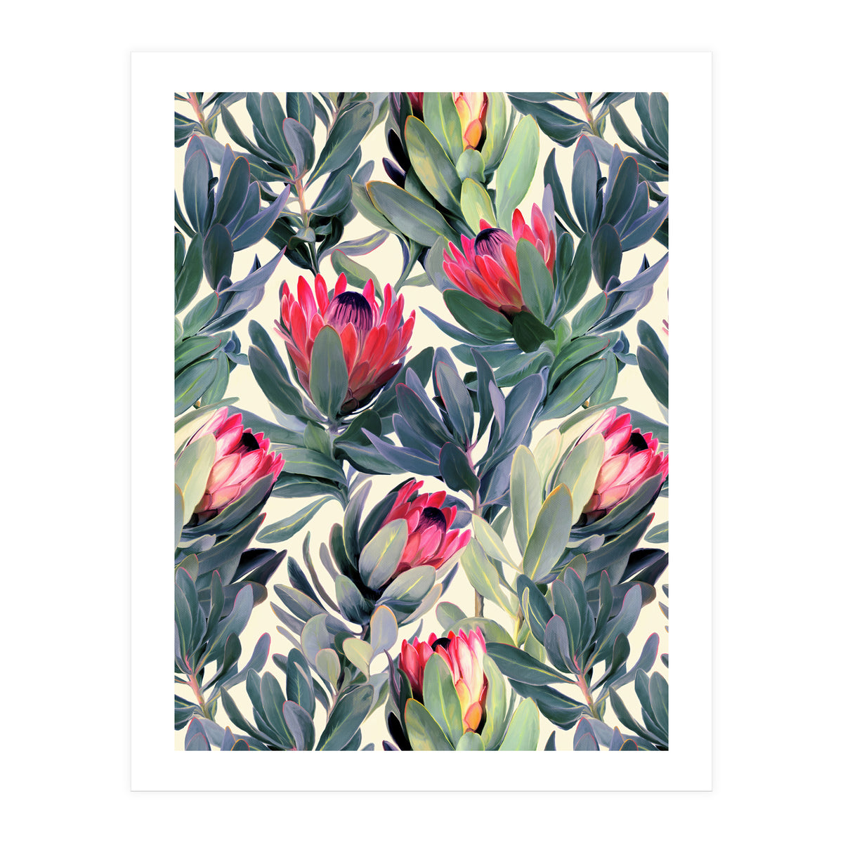 Painted Protea Pattern (Print Only)