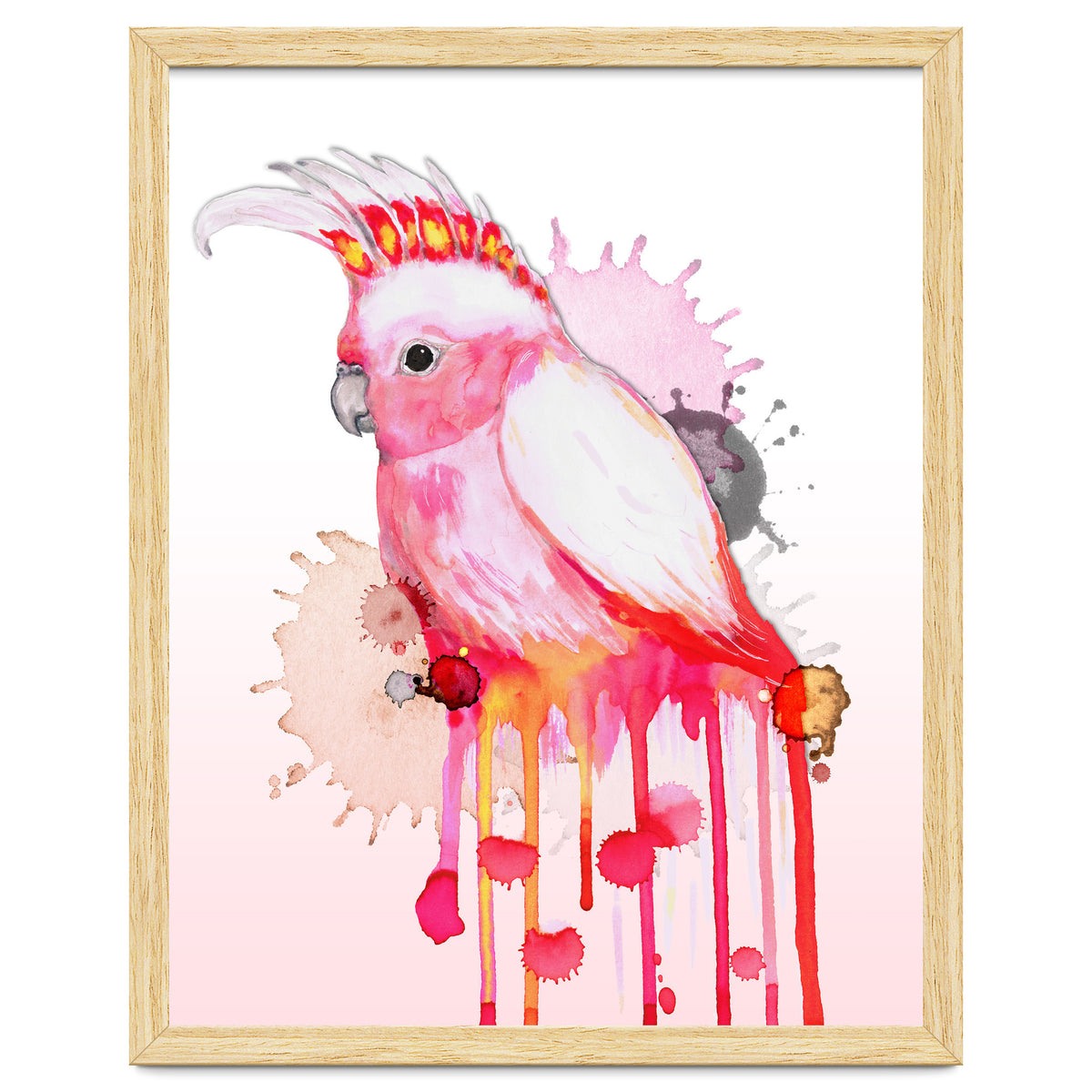 Major Mitchell's cockatoo