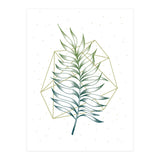 Geometry And Nature I (Print Only) thumbnail
