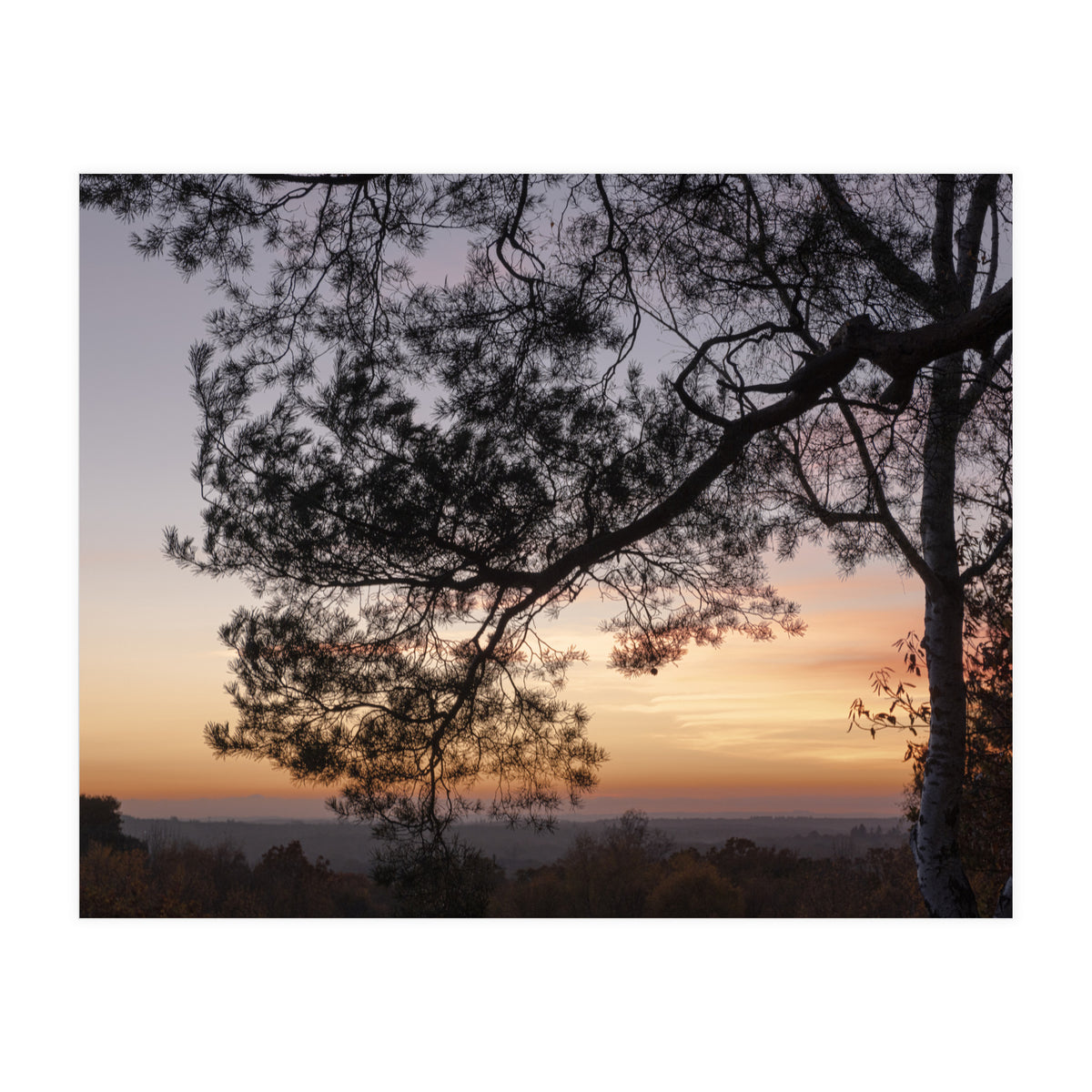 Sunset on Finchampstead Ridges - Berkshire (Print Only)