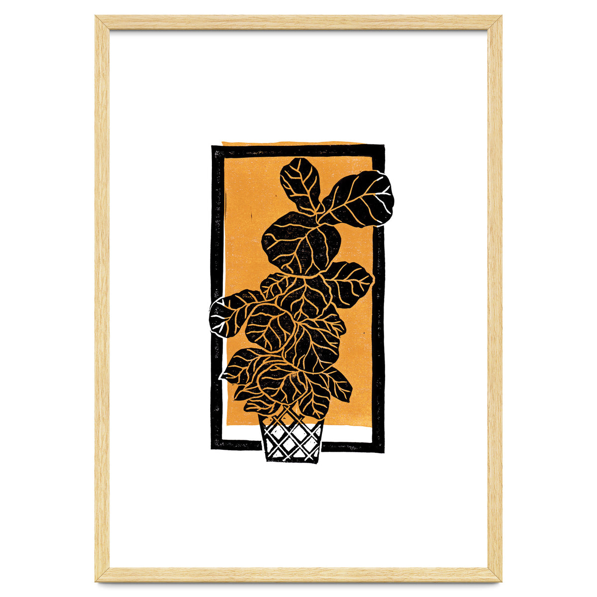 Fiddle Leaf Fig Clean + Sunlight