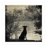 Waiting for you (Print Only) thumbnail