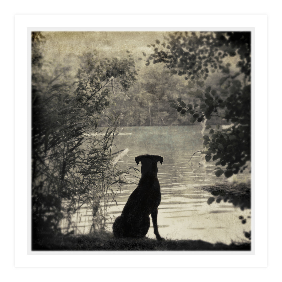 Waiting for you (Print Only)