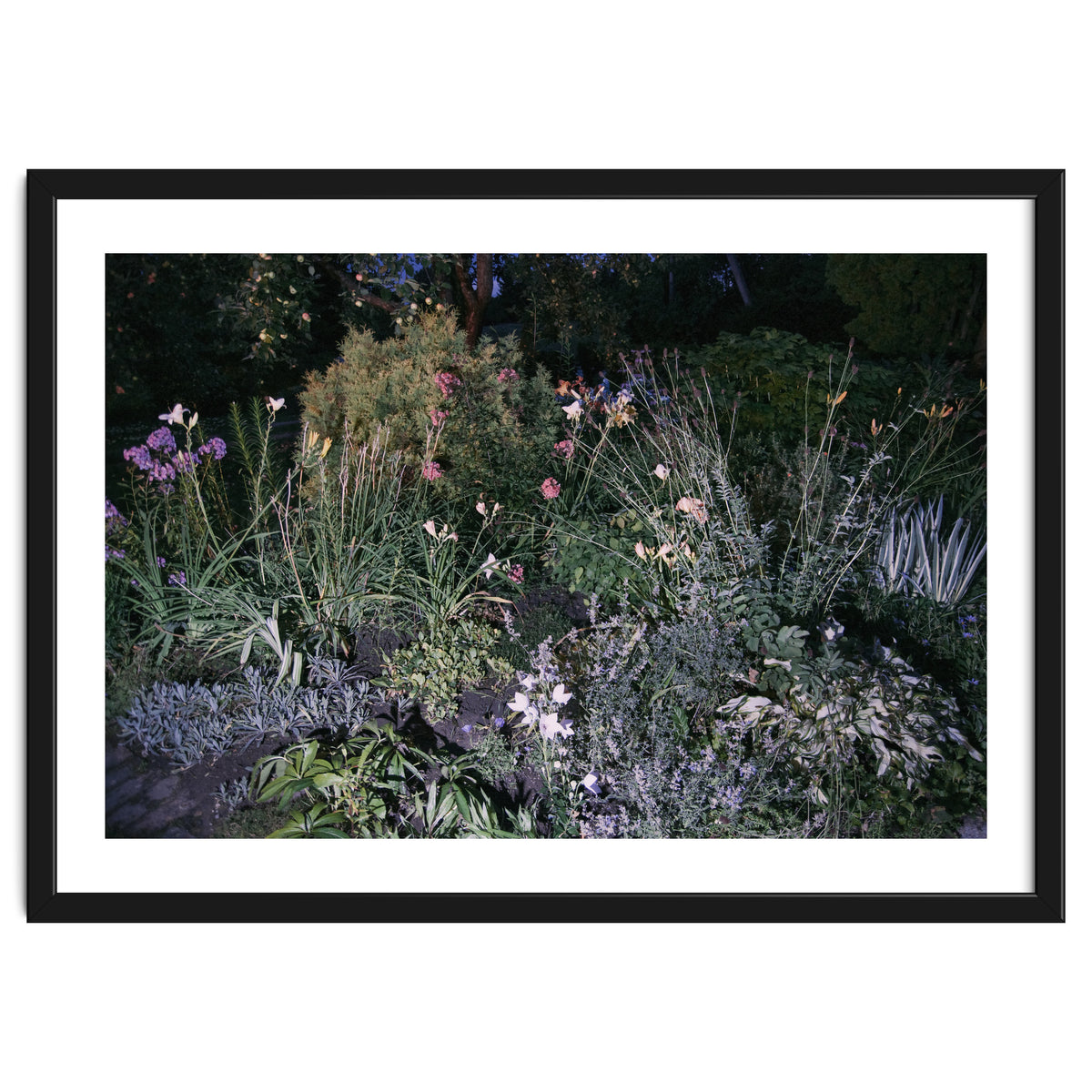 Picture Postcard Perfect