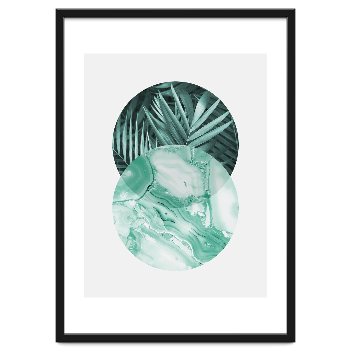 Botanical and geometric IV