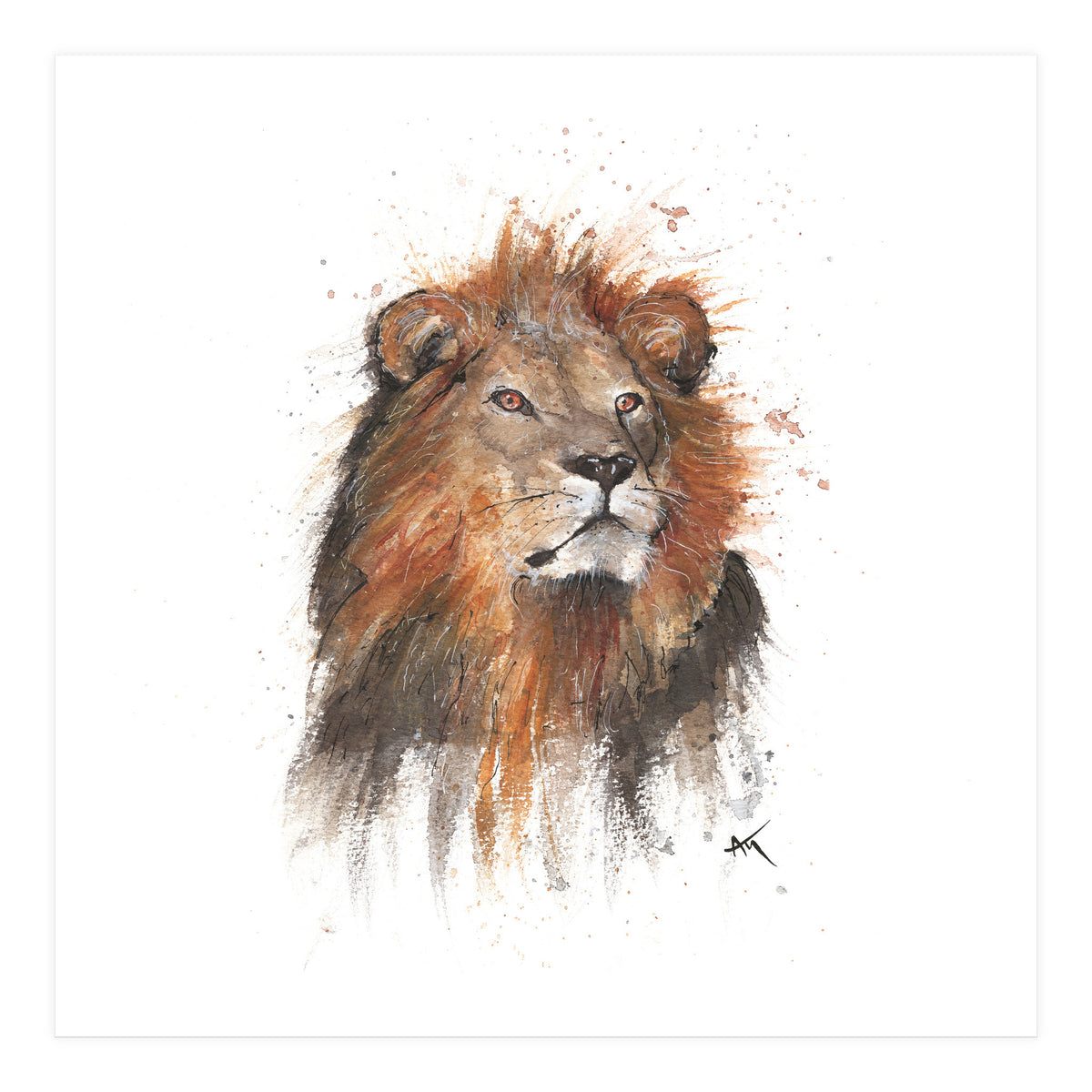 Lion - Wildlife Collection (Print Only)