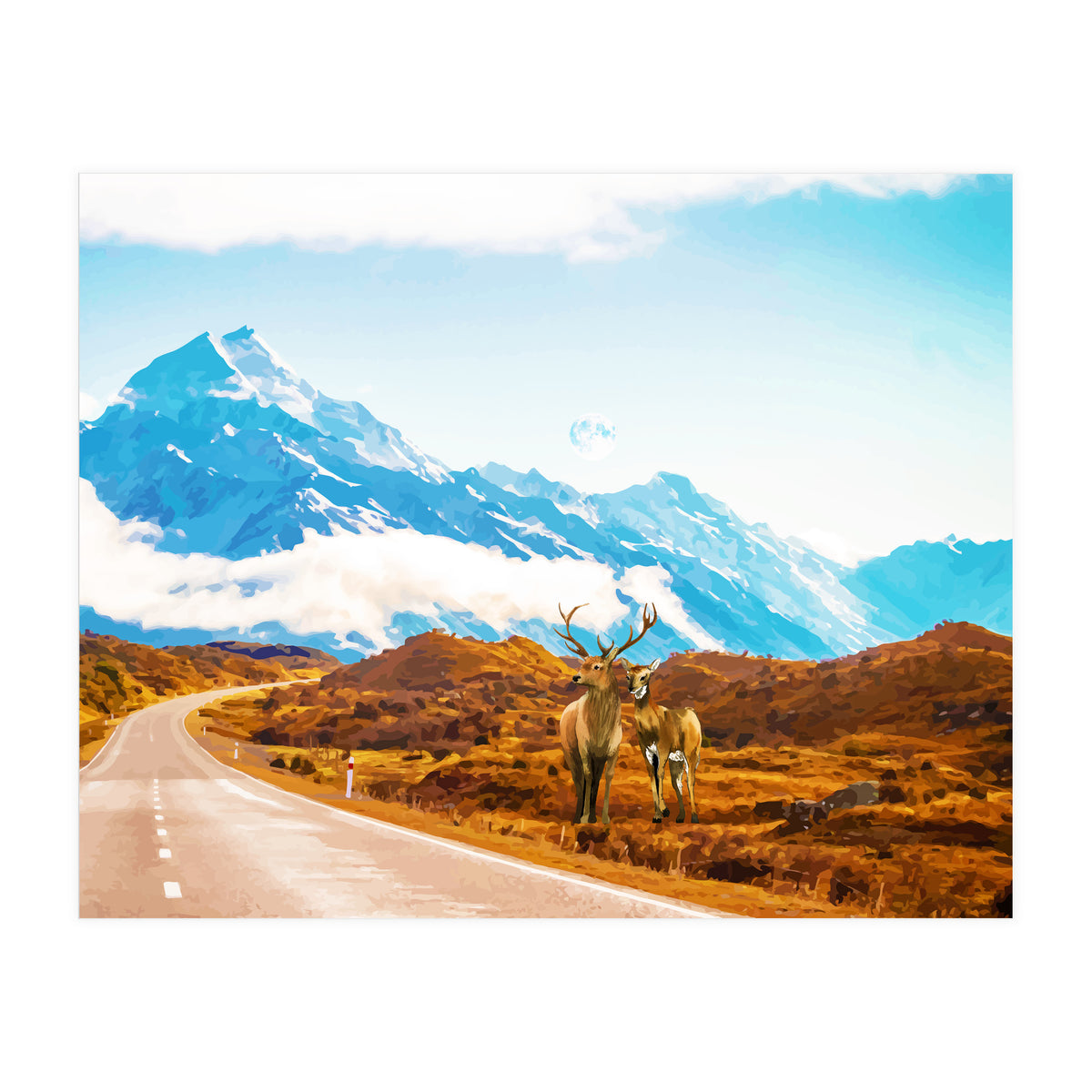 Wildlife (Print Only)