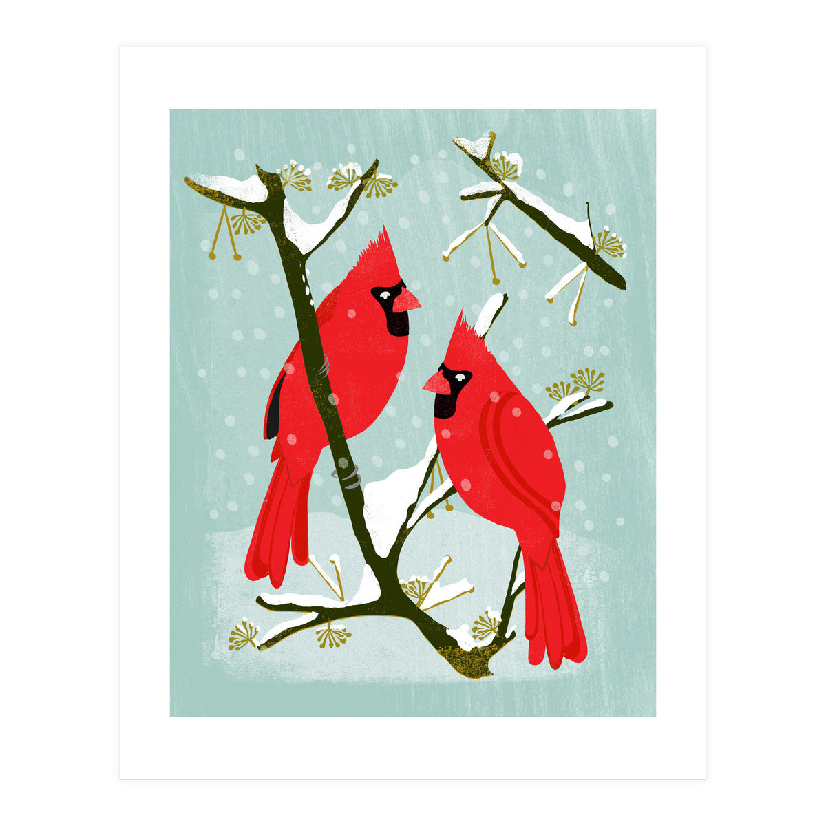 Cardinal (Print Only)