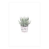 Potted Plant (Print Only) thumbnail