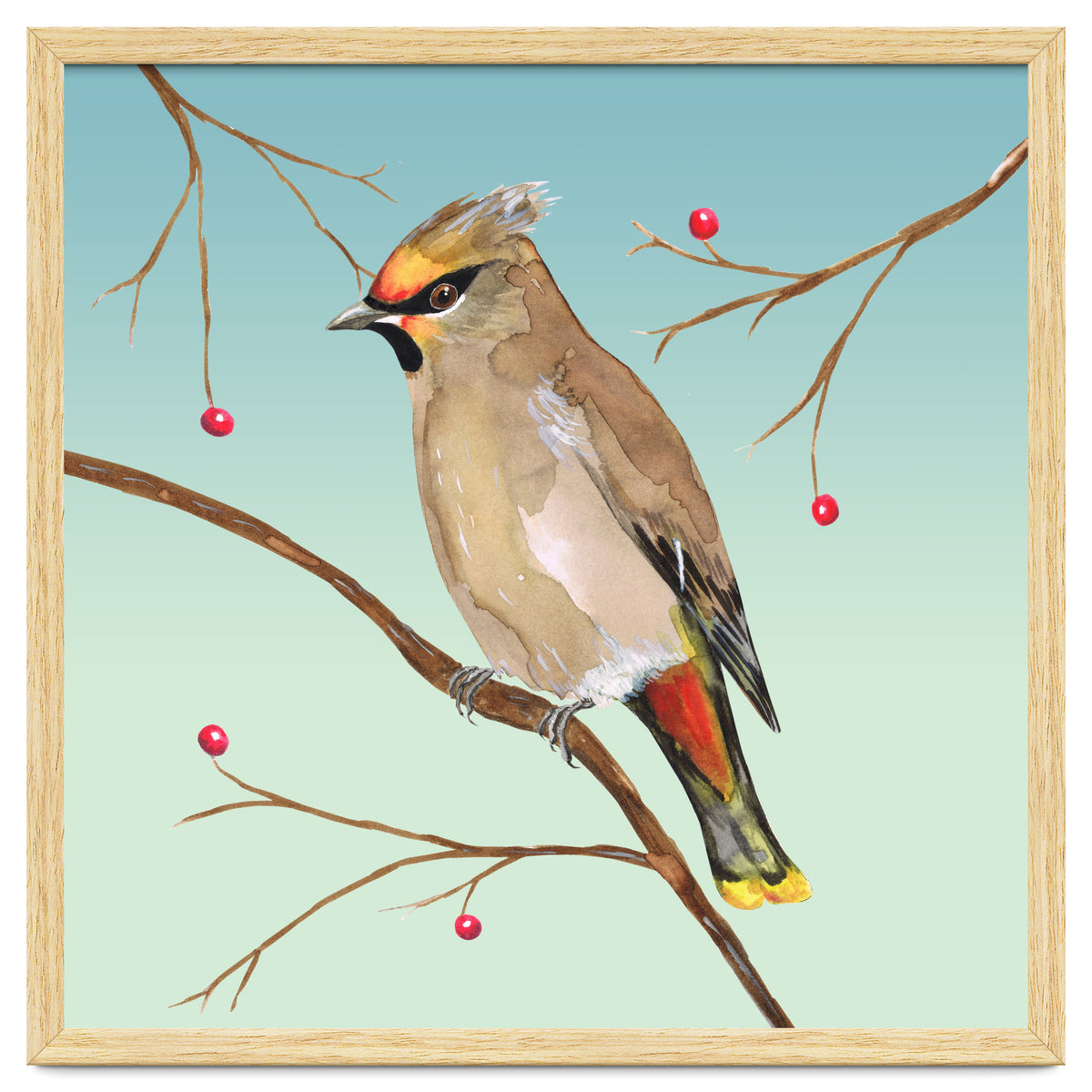 Bohemian waxwing