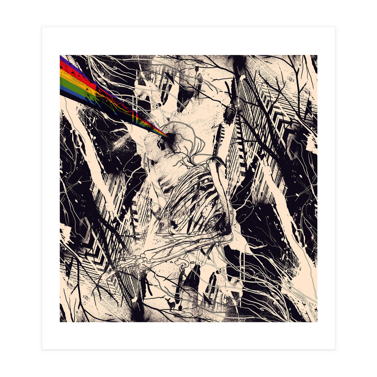 Envision (Print Only)