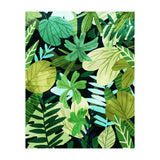 Rainforest Ii (Print Only) thumbnail