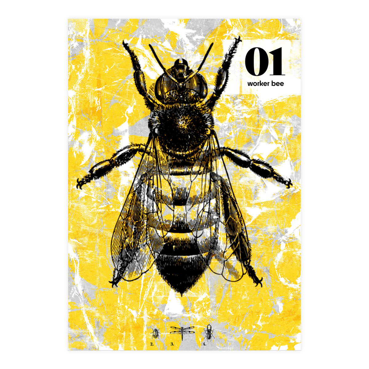 Bugs 1  (Print Only)