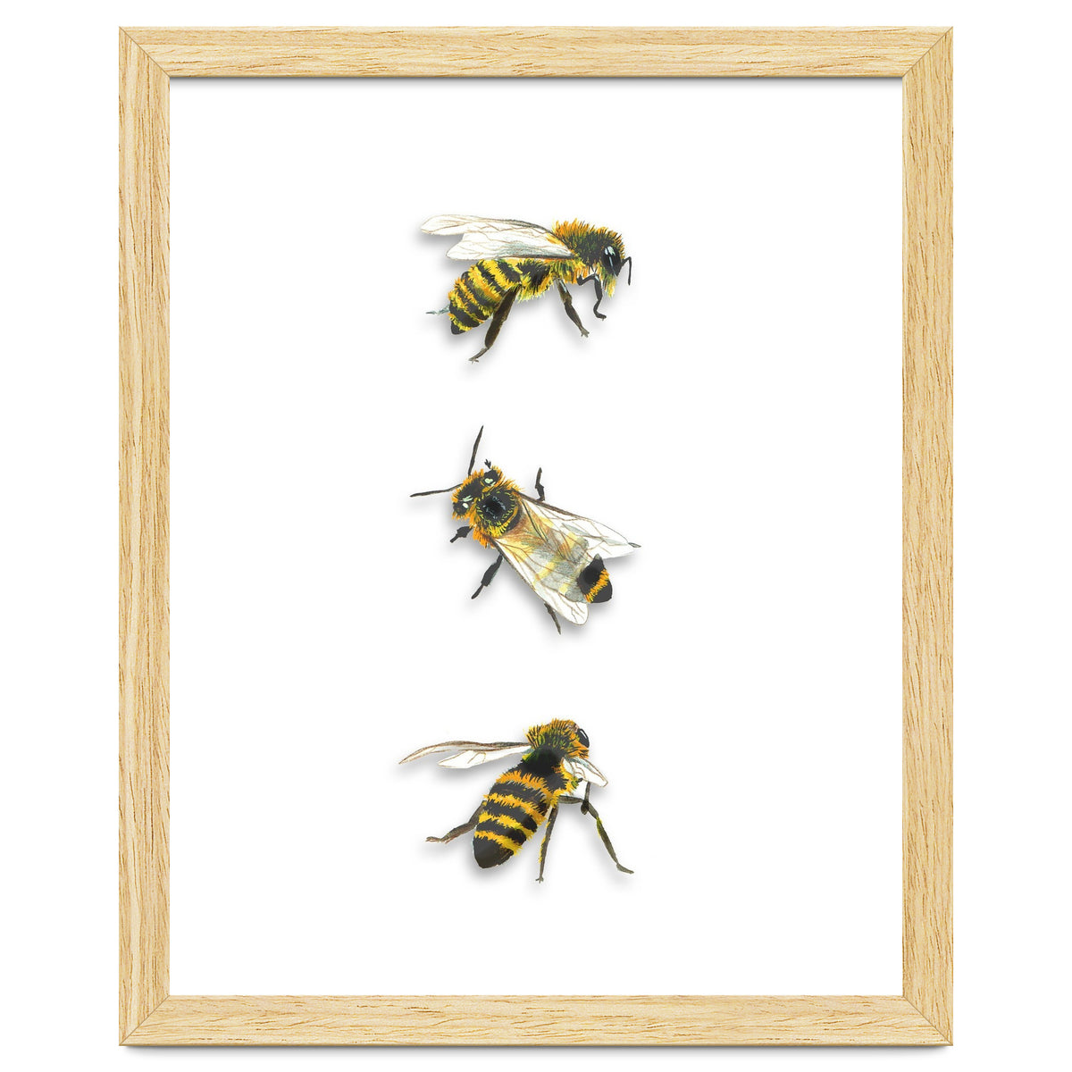 The 3 Bee's