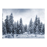 Winterland (Print Only) thumbnail