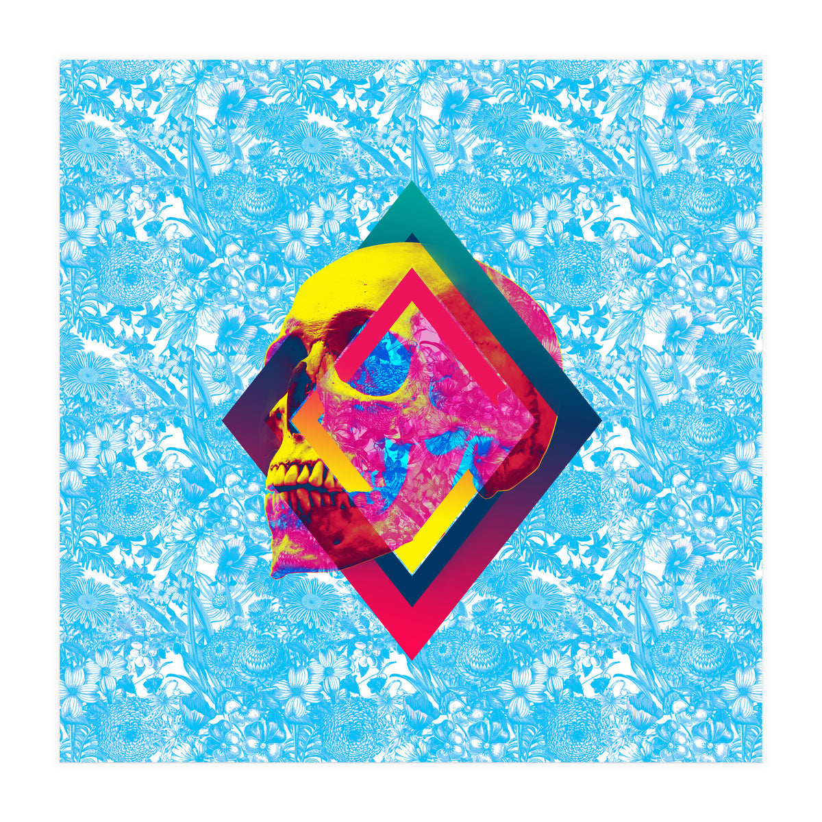 Lifeful Skull  (Print Only)