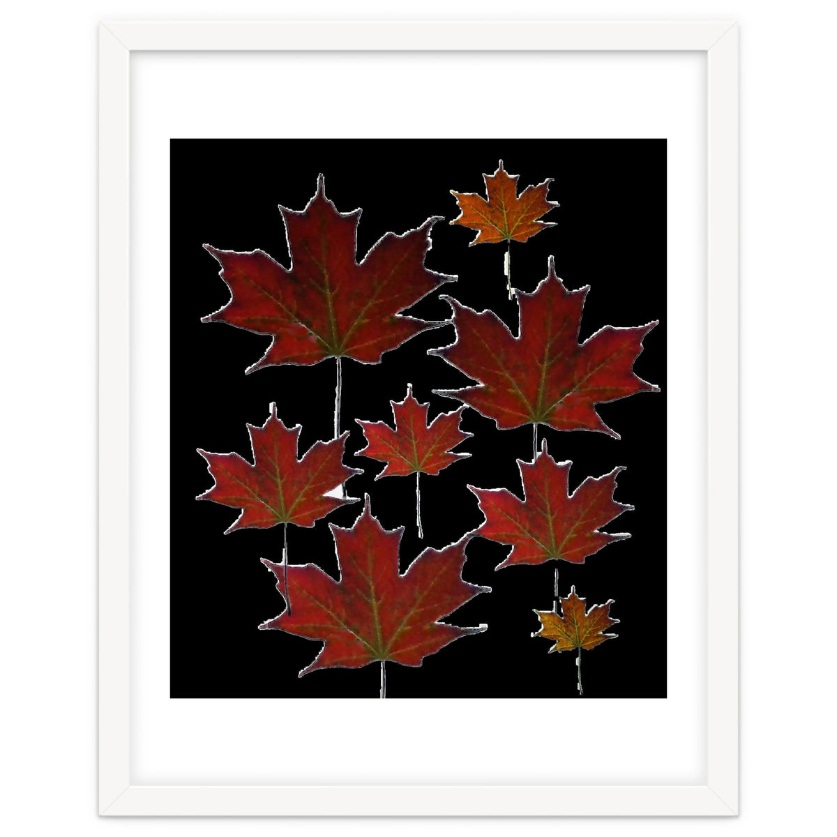 Autumn leaves (2)