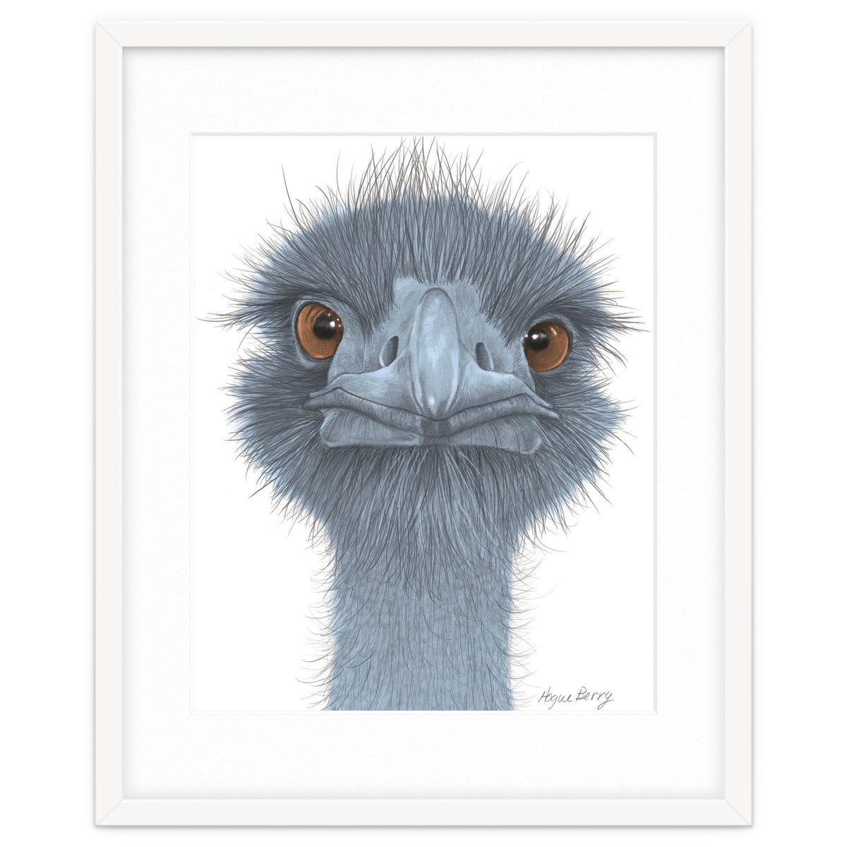 The Blue Emu