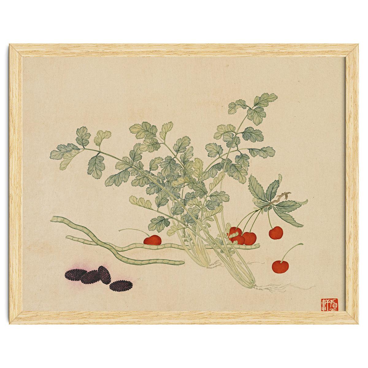 Wang Chengyu~flowers And Vegetables, Vegetables, Fruits, Beans, Red Beans, Cherries, Celery