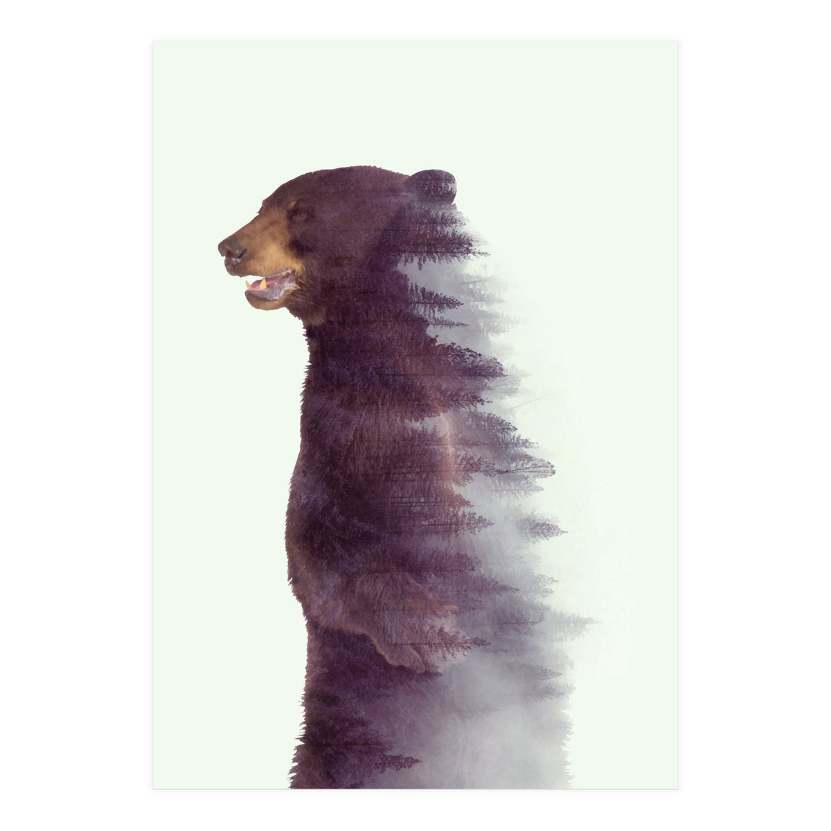 Awakening (Print Only)