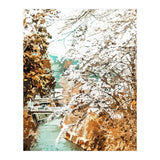 Japan (Print Only) thumbnail