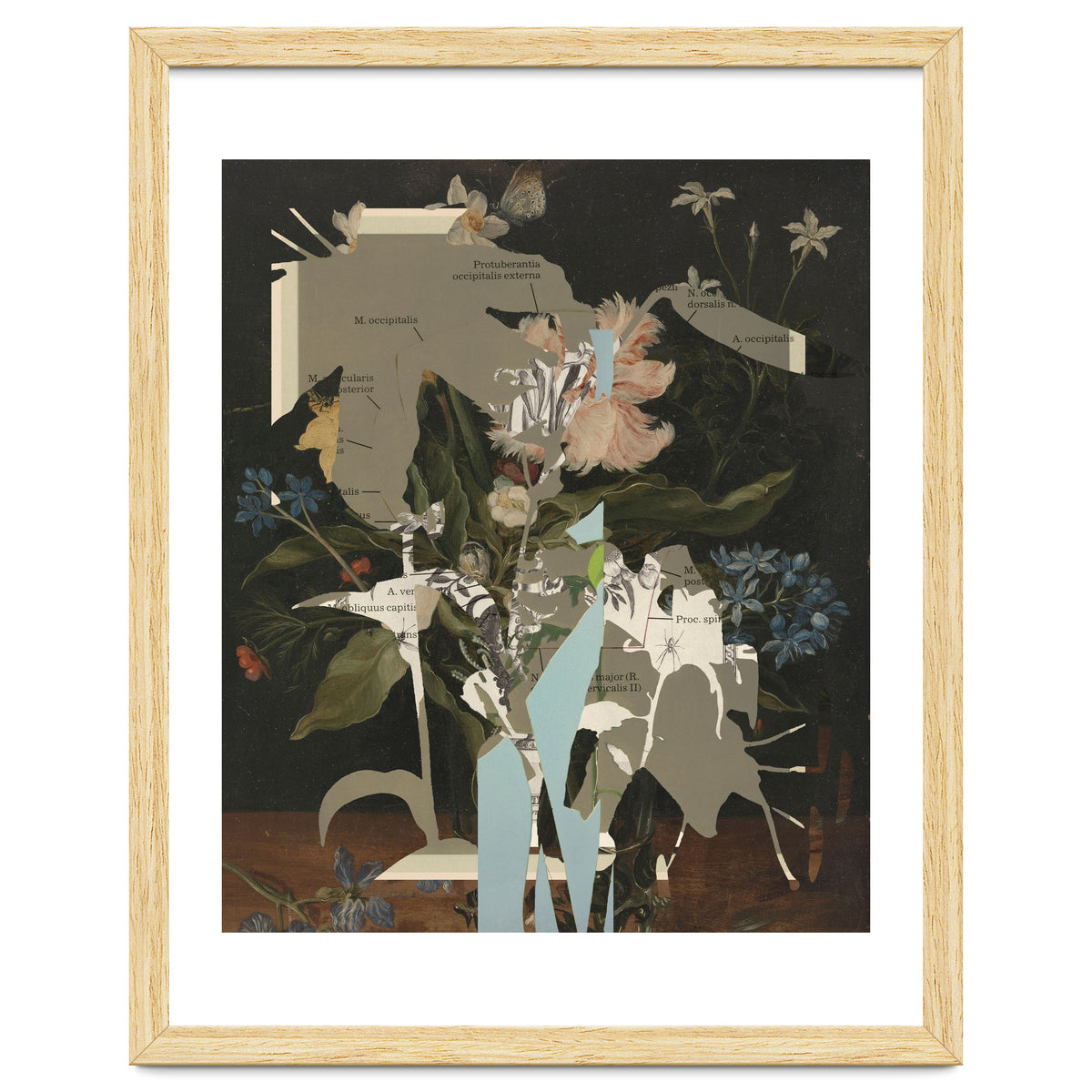 The First Plant · D2