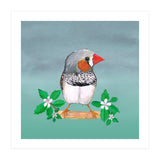 Zebra finch (Print Only) thumbnail