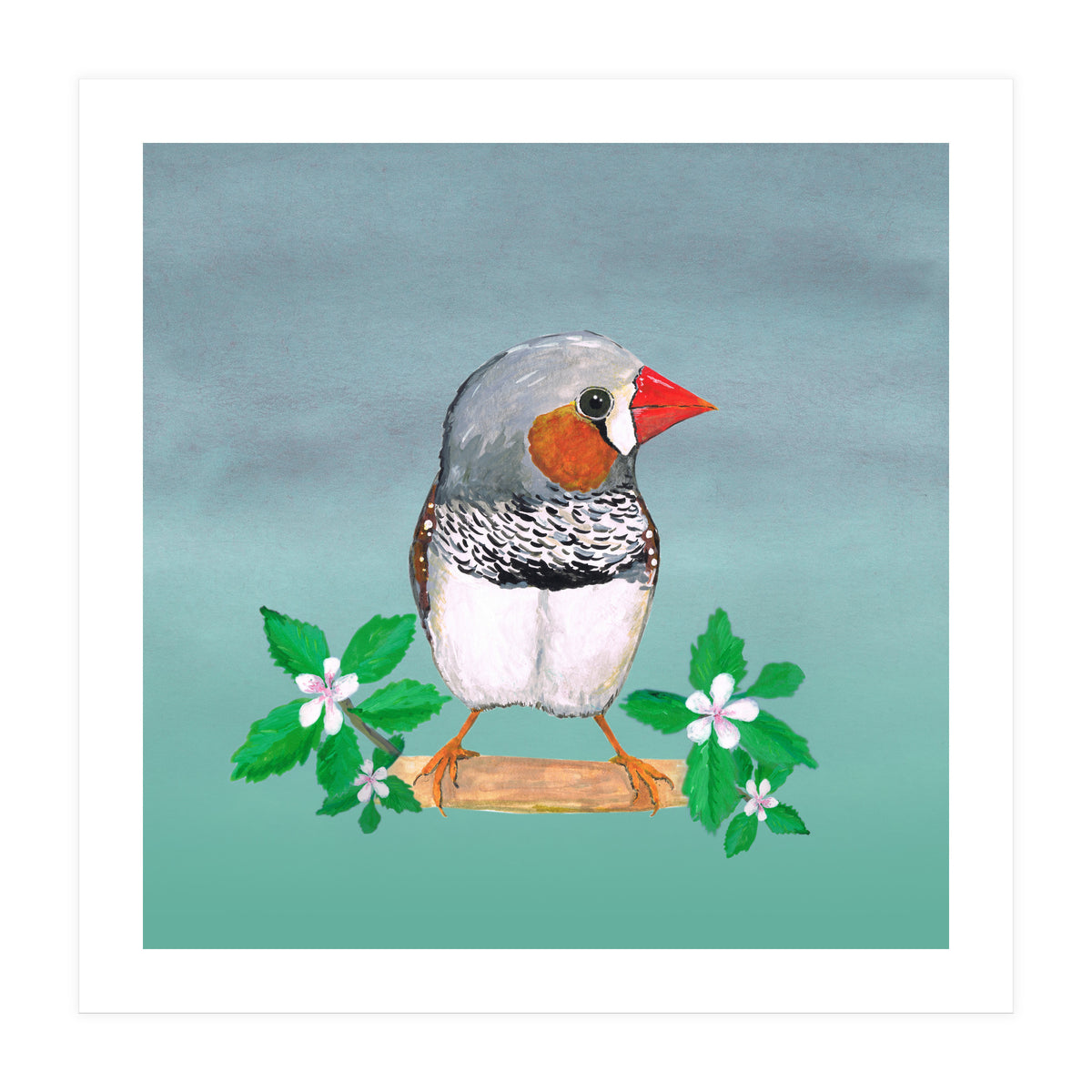 Zebra finch (Print Only)