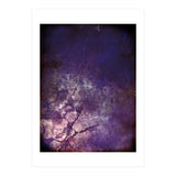 Creep Forest (Print Only) thumbnail