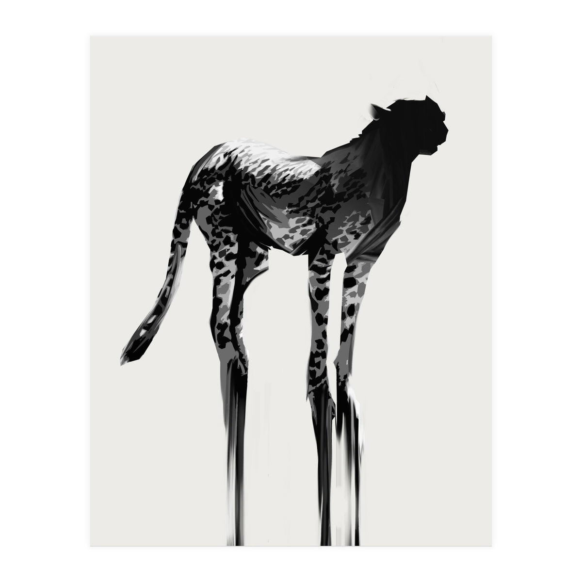 Cheetah  (Print Only)