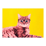 Life In Technicolor (Print Only) thumbnail