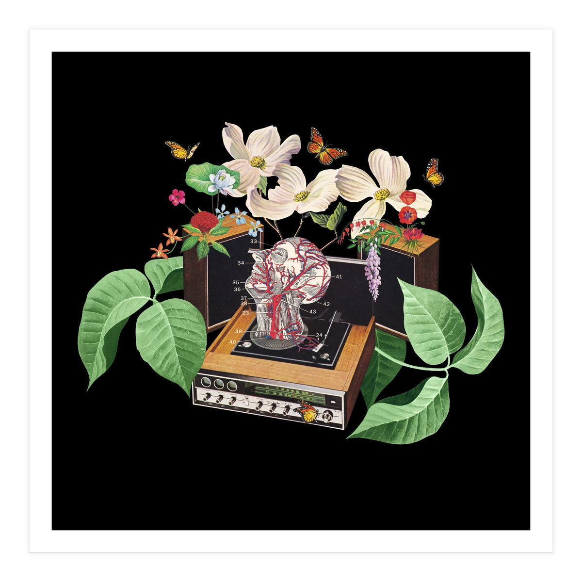 Where Is My Mind (Print Only)