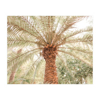 Tropical Palm Tree (Print Only)
